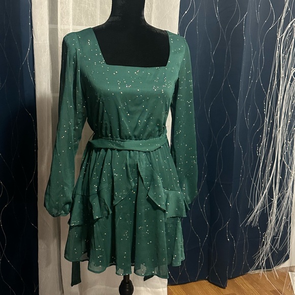 Sz Small City Triangle dress with sheer sleeves. Worn once - Picture 1 of 3
